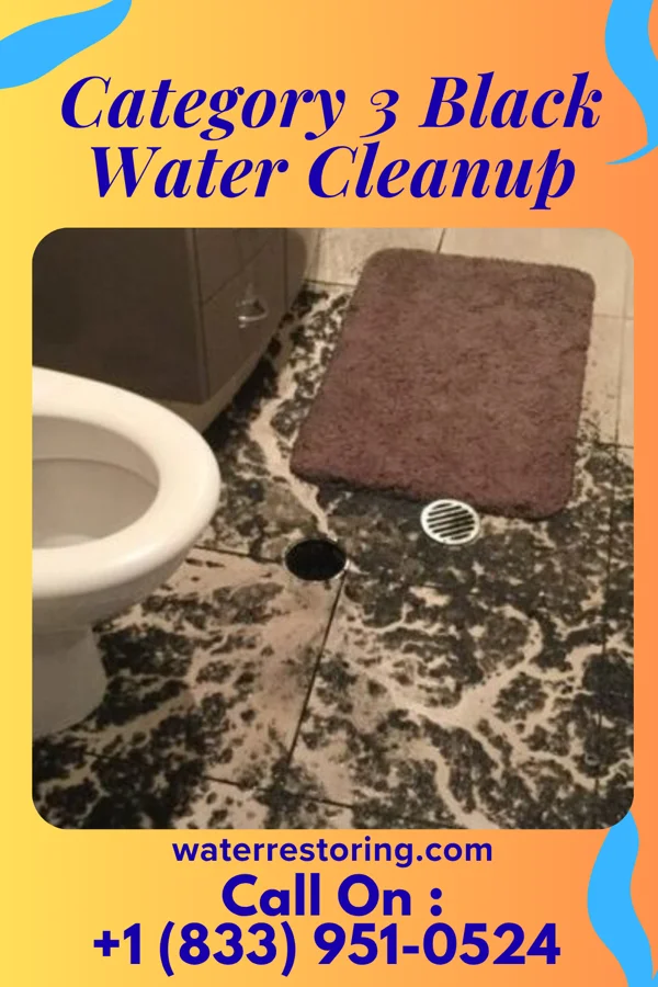 Category 3 Black Water Cleanup in Flat Top Mountain, TN