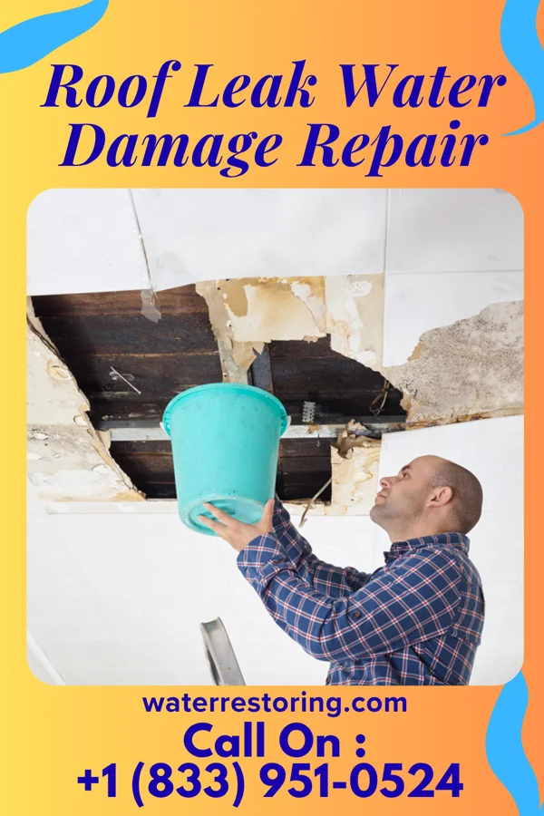 Roof Leak Water Damage Repair in Flat Top Mountain, TN