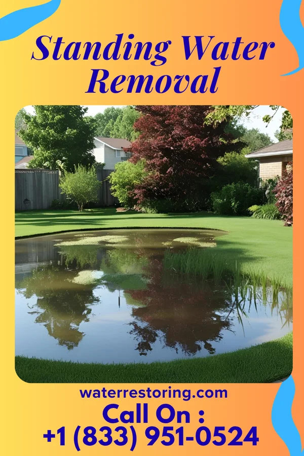 Standing Water Removal in Flat Top Mountain, TN